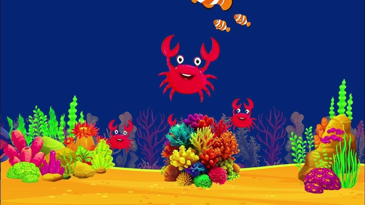 Sleep Instantly in 3 Minutes 💤 Mozart & Brahms Lullaby Baby Sleep Music for Sweet Dreams Calm #485