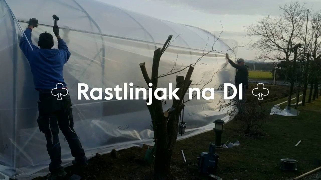 Postavitev rastlinjaka 😊