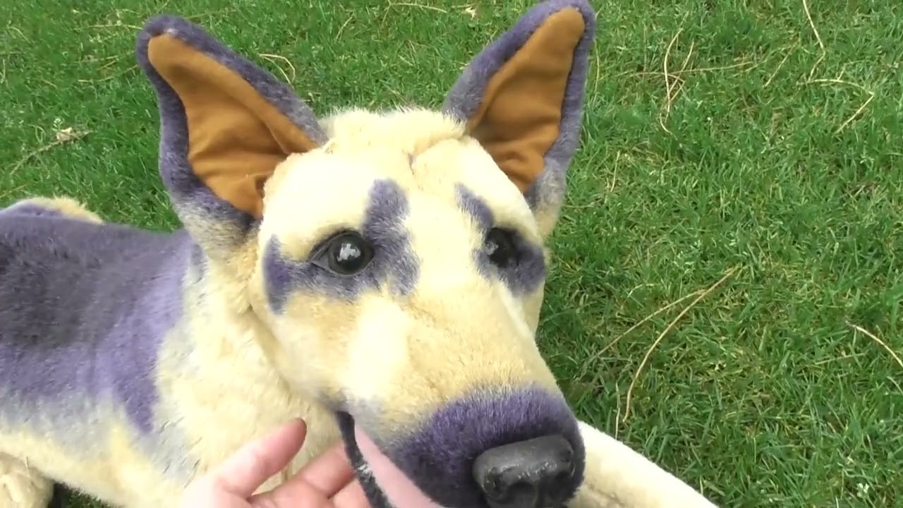 Package large German Shepherd plush
