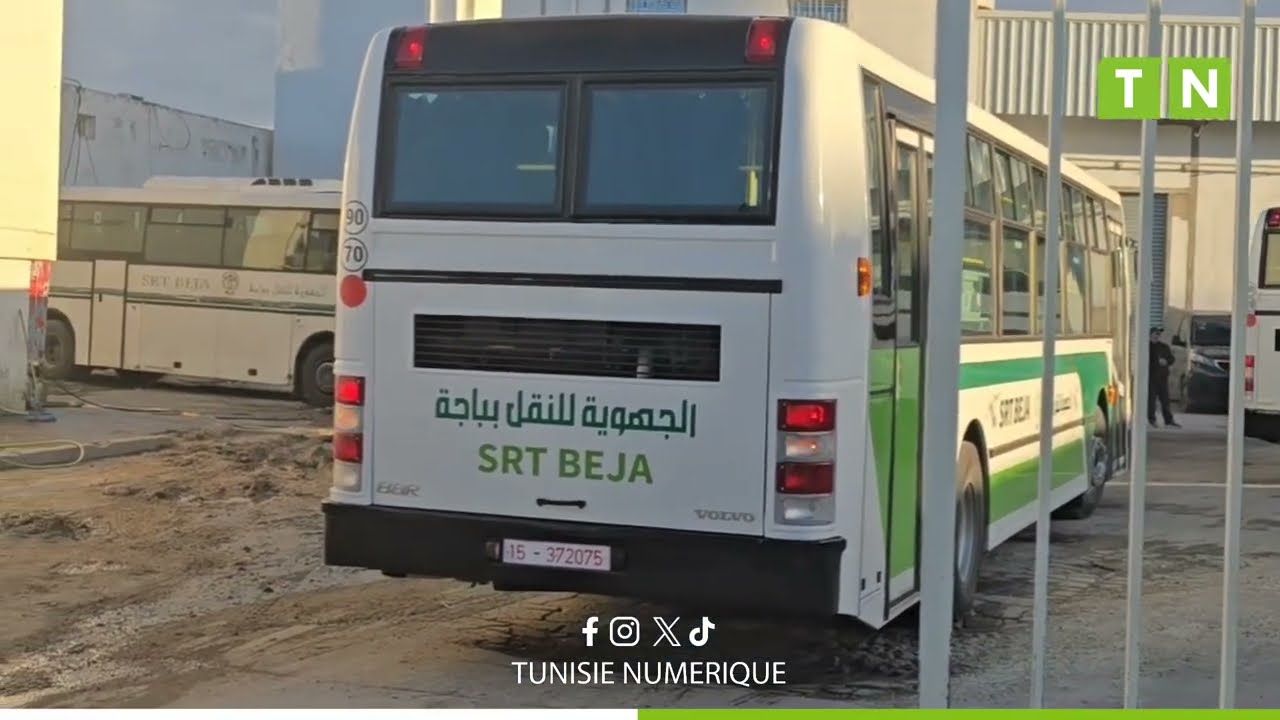 باجة : 5 حافلات جديدة تعزز أسطول الشركة الجهوية للنقل