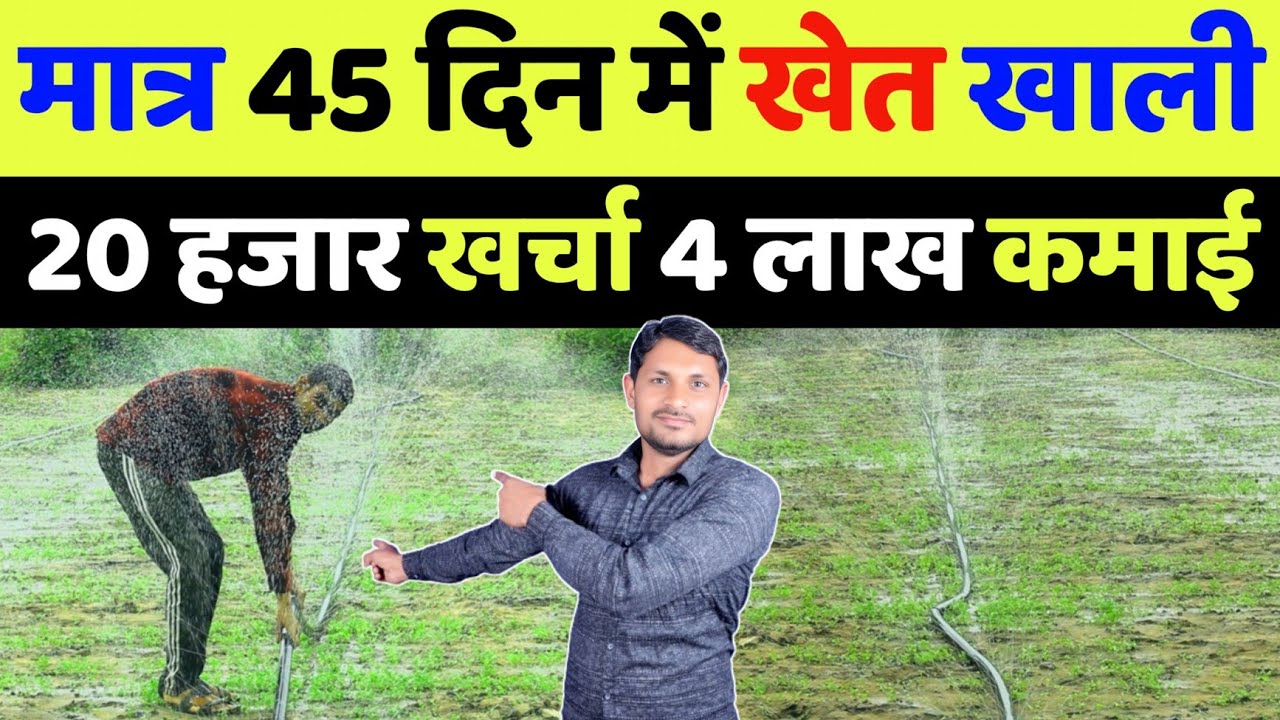 इस खेती में 20 हजार का खर्चा  4 लाख कमाएं | dhaniya ki kheti kab kare | dhaniya ki kheti kaise karen