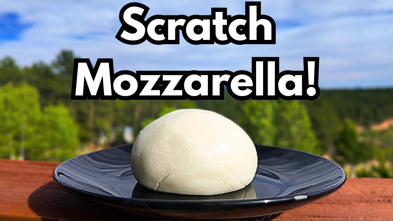Homemade Mozzarella From Scratch