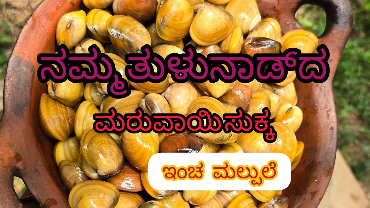 Clams  sukka in our Mangalore style.ಮರುವಾಯಿದ ಸುಕ್ಕ ಇಂಚ ಒರ ಮಲ್ತ್‌ದ್ ತೂಲೆ.. ಏಪೊಗ್ಲಾ ರುಚಿನ್ ಮದಪುಜರ್ 