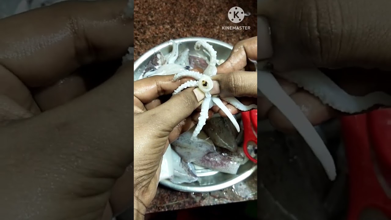 💁Sunday special🐙 கனவா மீன் சுத்தம் செய்வது எப்படி🦑 #short #shortvideo #8/10/23 🤞🦑🐙