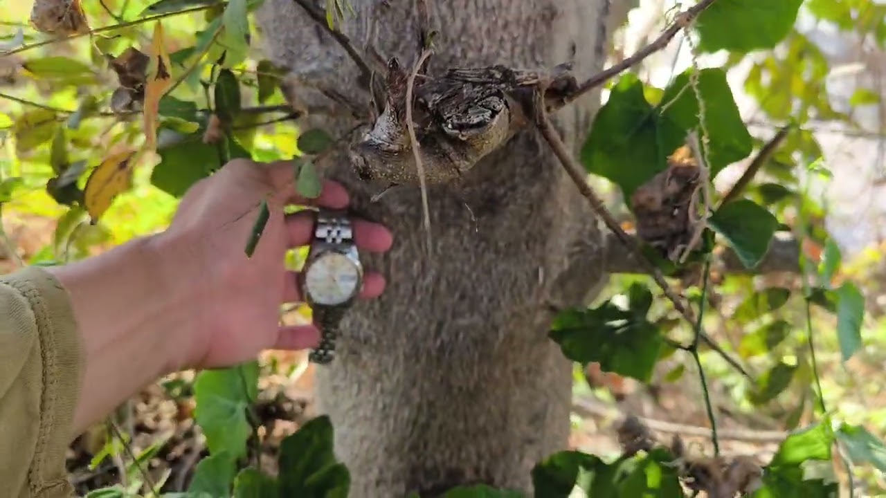 7 กุมภาพันธ์ 2569