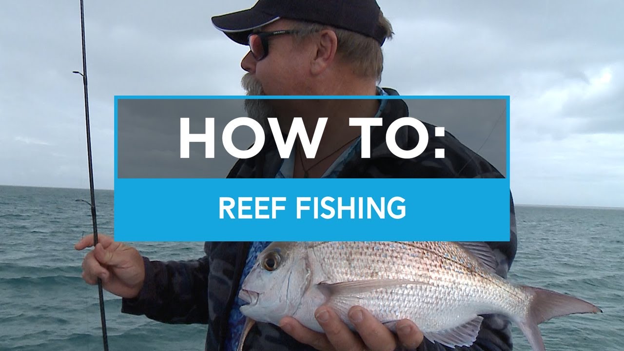 HOW TO: Reef Fishing on Squidgies BIO Tough