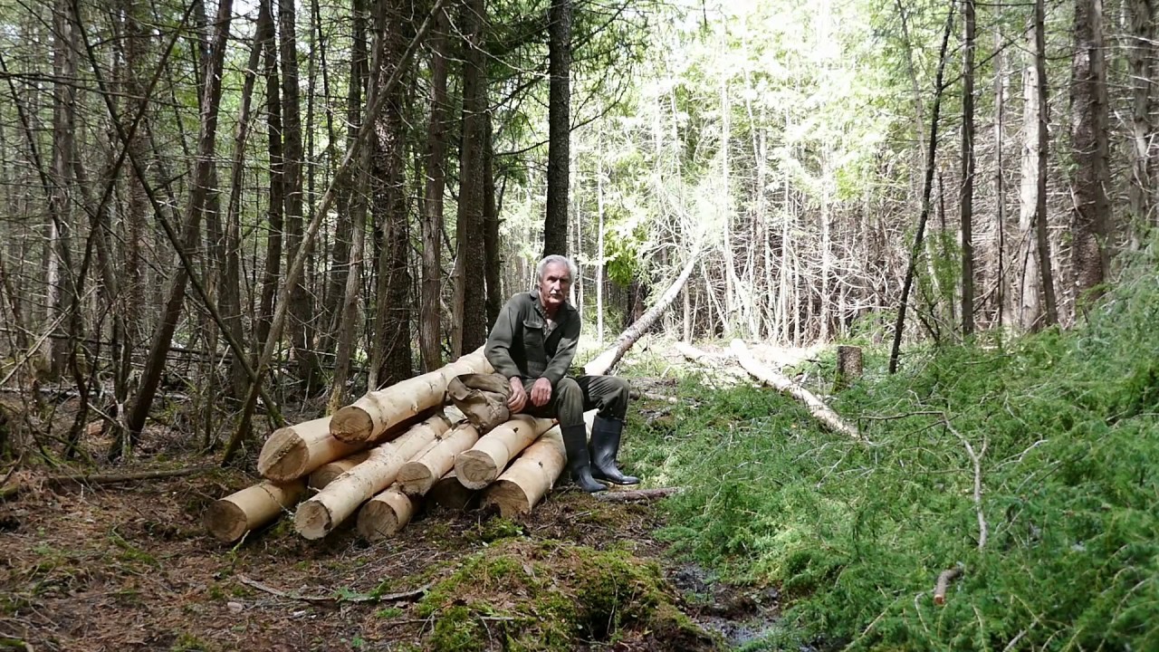 Martin's Old Off Grid Log Cabin #104 Tom Sawyers Task Management Style