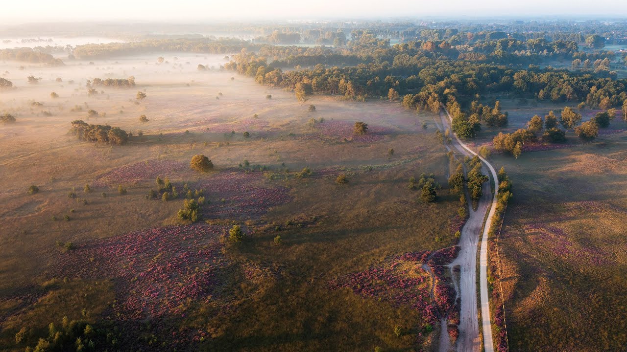 Welkom bij mij. Welkom in De Groote Heide.