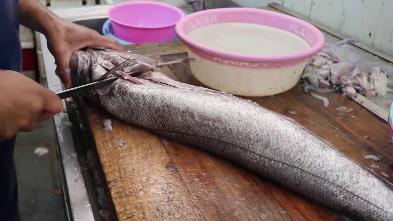 HOW TO : Amazing GIANT HAKE Fish Cleaning Skills [ Preparing Fish Skills ]