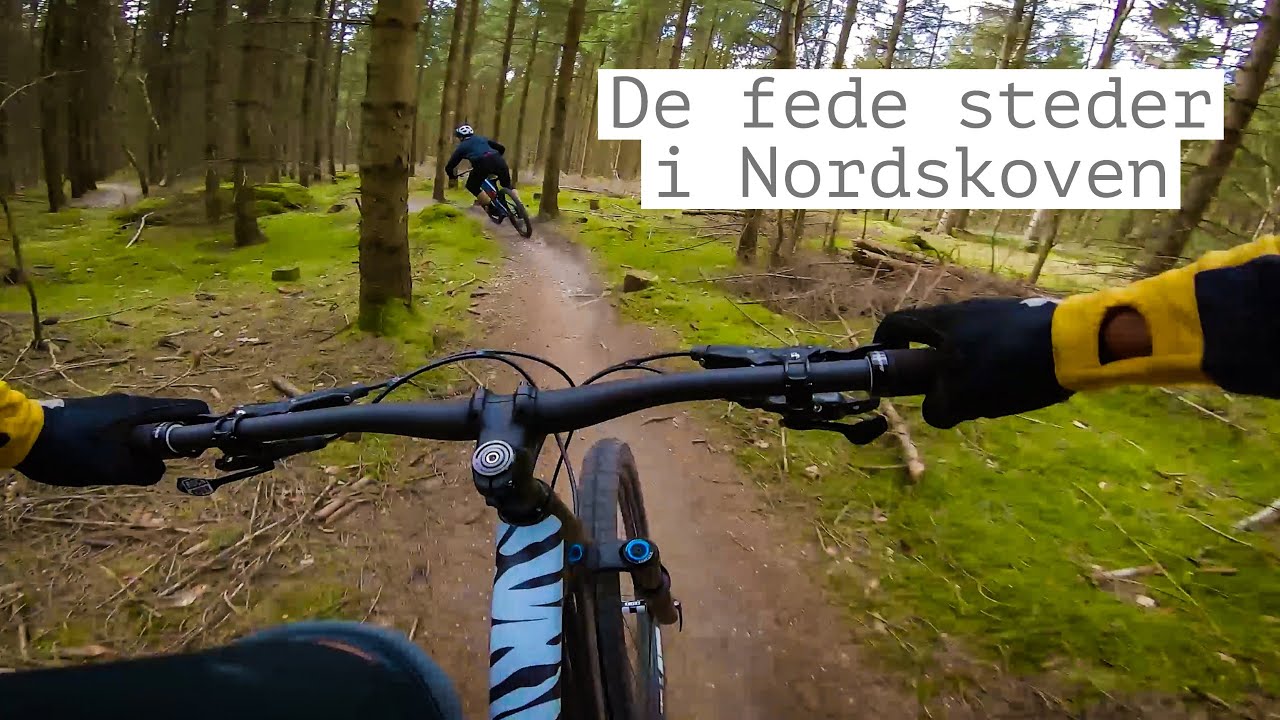 MTB i Nordskoven med underlig dialekt