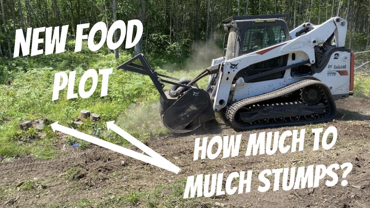 BEST FOOD PLOT STUMP REMOVAL: What's the cheapest, fastest, and best way to get a plantable surface?