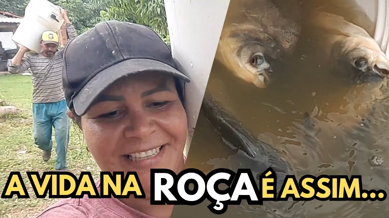 VANTAGEM de MORAR na ROÇA, OLHA ISSO 😱* Troquei galinhas por peixes *😅
