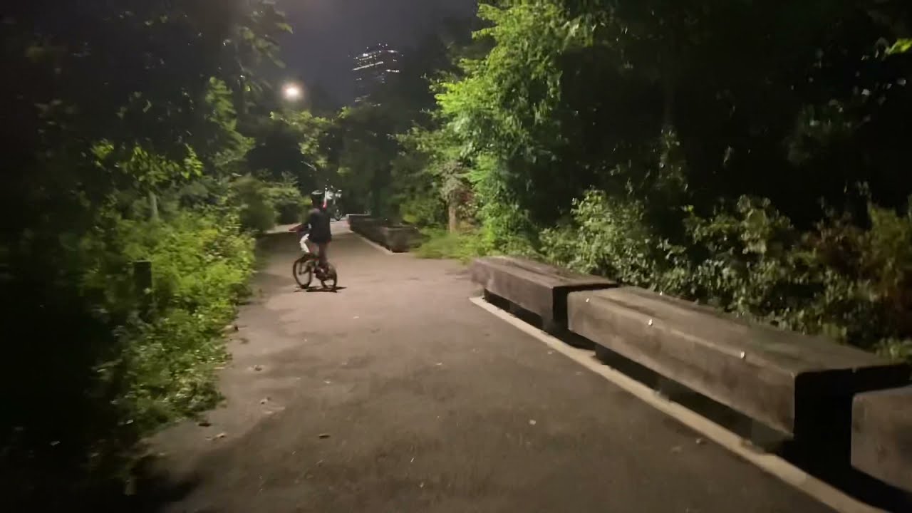 Evening in Brooklyn Bridge || Full video coming soon ||Tanzila’s little world