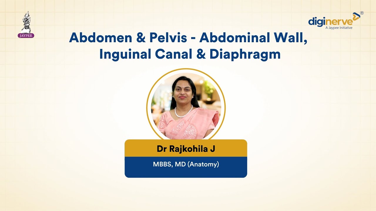 High-Yield Anatomy: Abdomen, Pelvis & Perineum Quick Revision | Dr Rajkohila J
