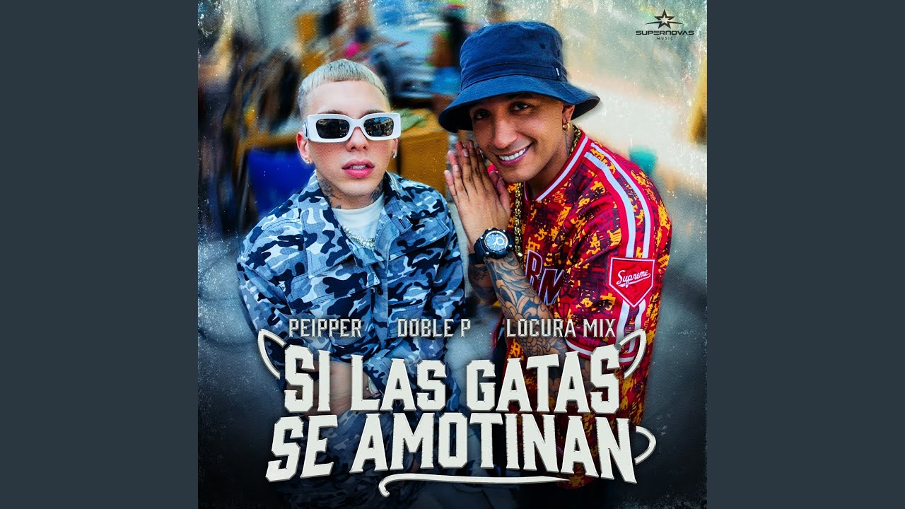 Si Las Gatas Se Amotinan
