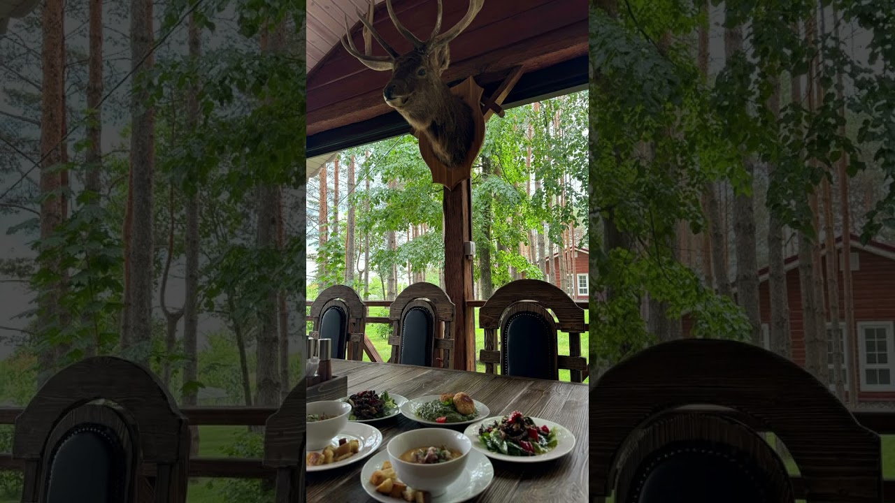 База отдыха &laquo;Абашевский Марал&raquo;#рыбалка #курорт #отдых #базаотдыха