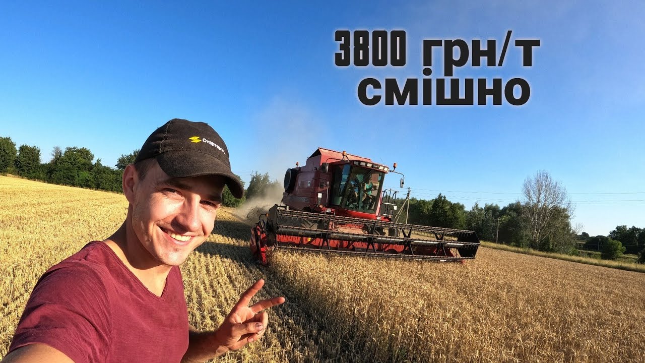 Жнива 2023 Купив комбайн? Пшениця перепілка сильний врожай. Новий сорт