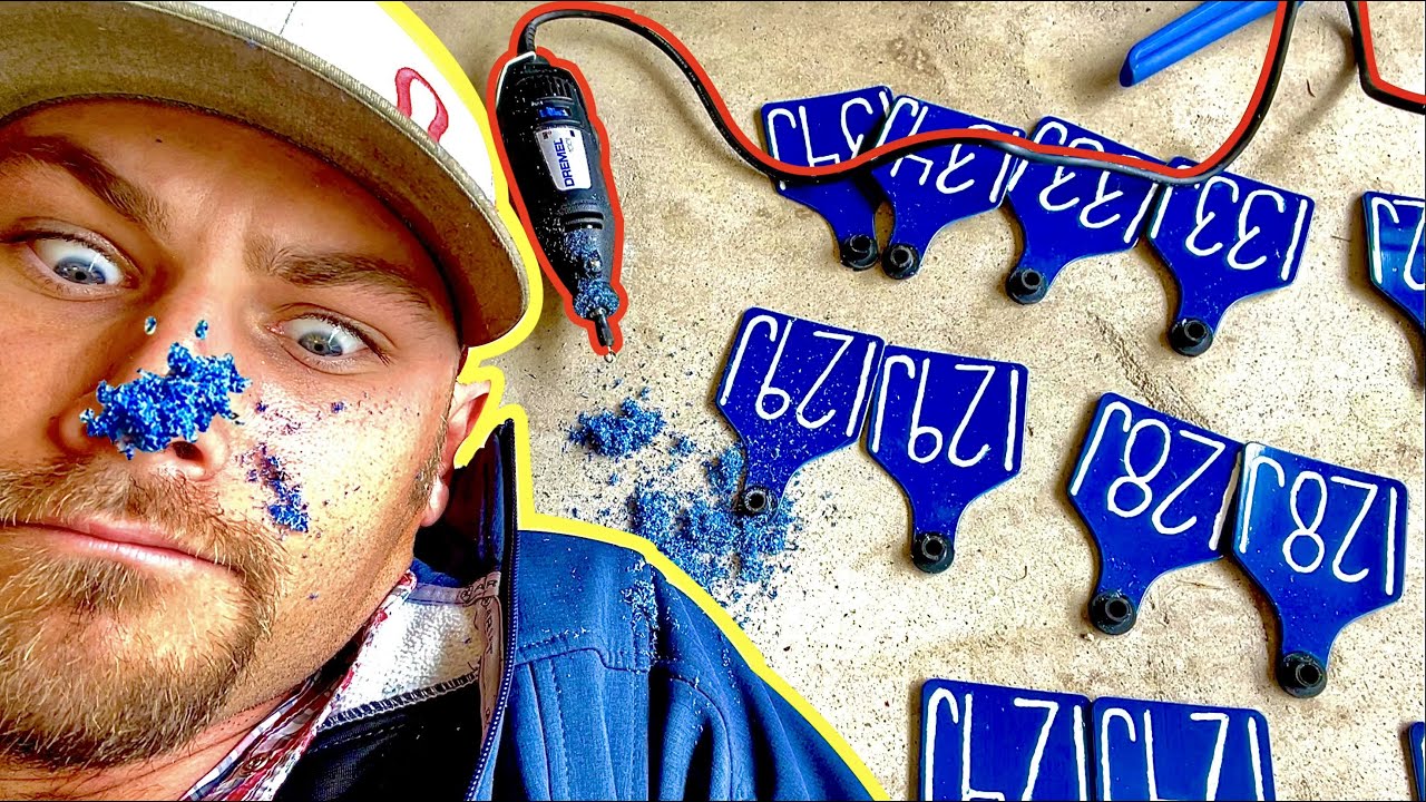 How I Make Cow Tags