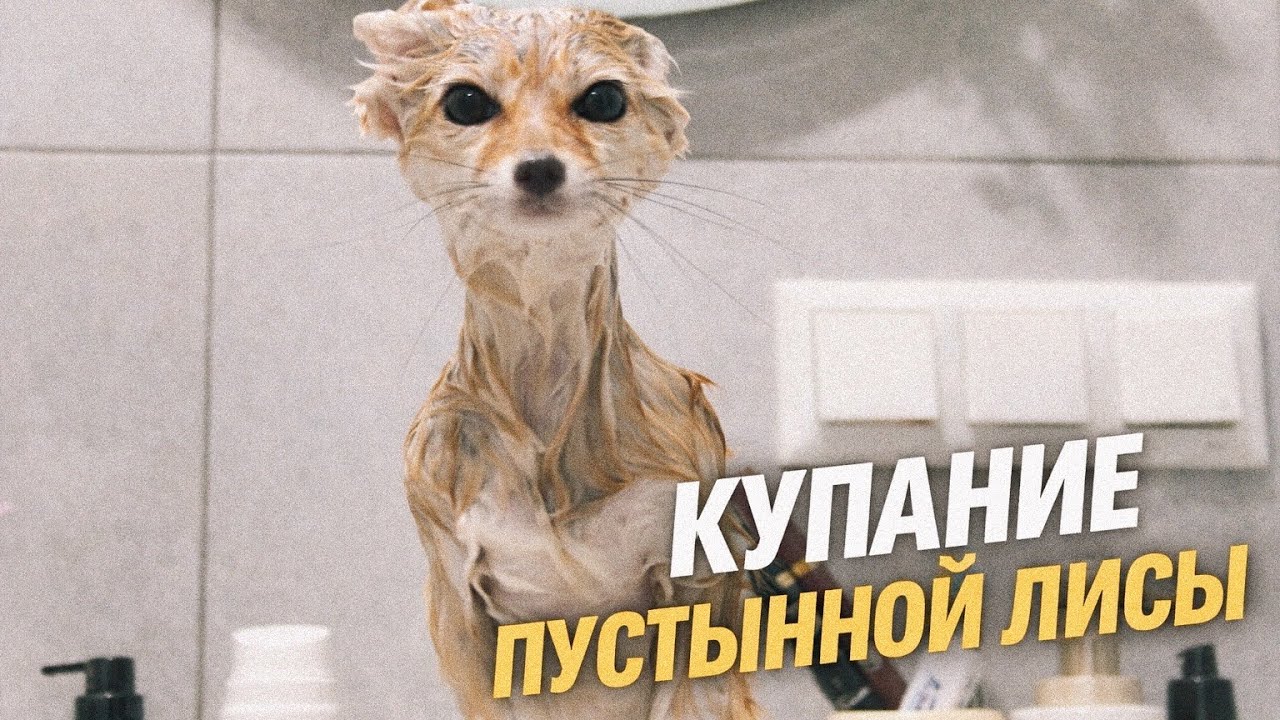 Нора Лискин купается и офигевает от происходящего 🫶🏻