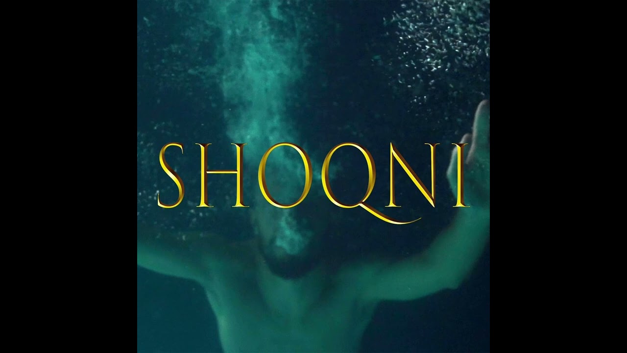 Nego - Shoqni [speed up]