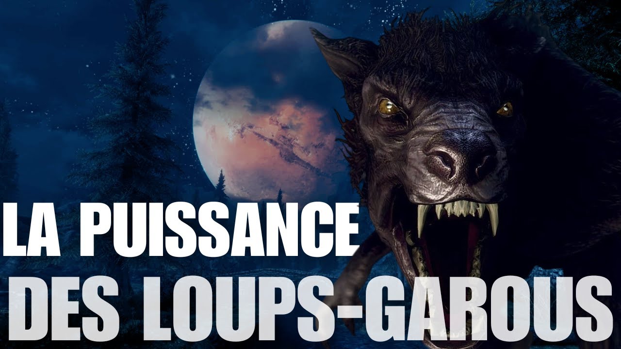 D'O&Ugrave; VIENNENT LES LOUPS-GAROUS ? | SKYRIM & Elder Scrolls Lore
