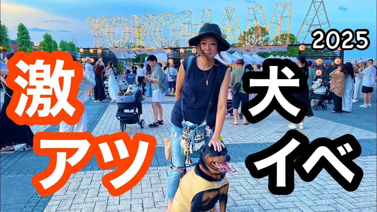 絶対行くべきドッグイベント【犬夜市】【横浜】【赤レンガ】