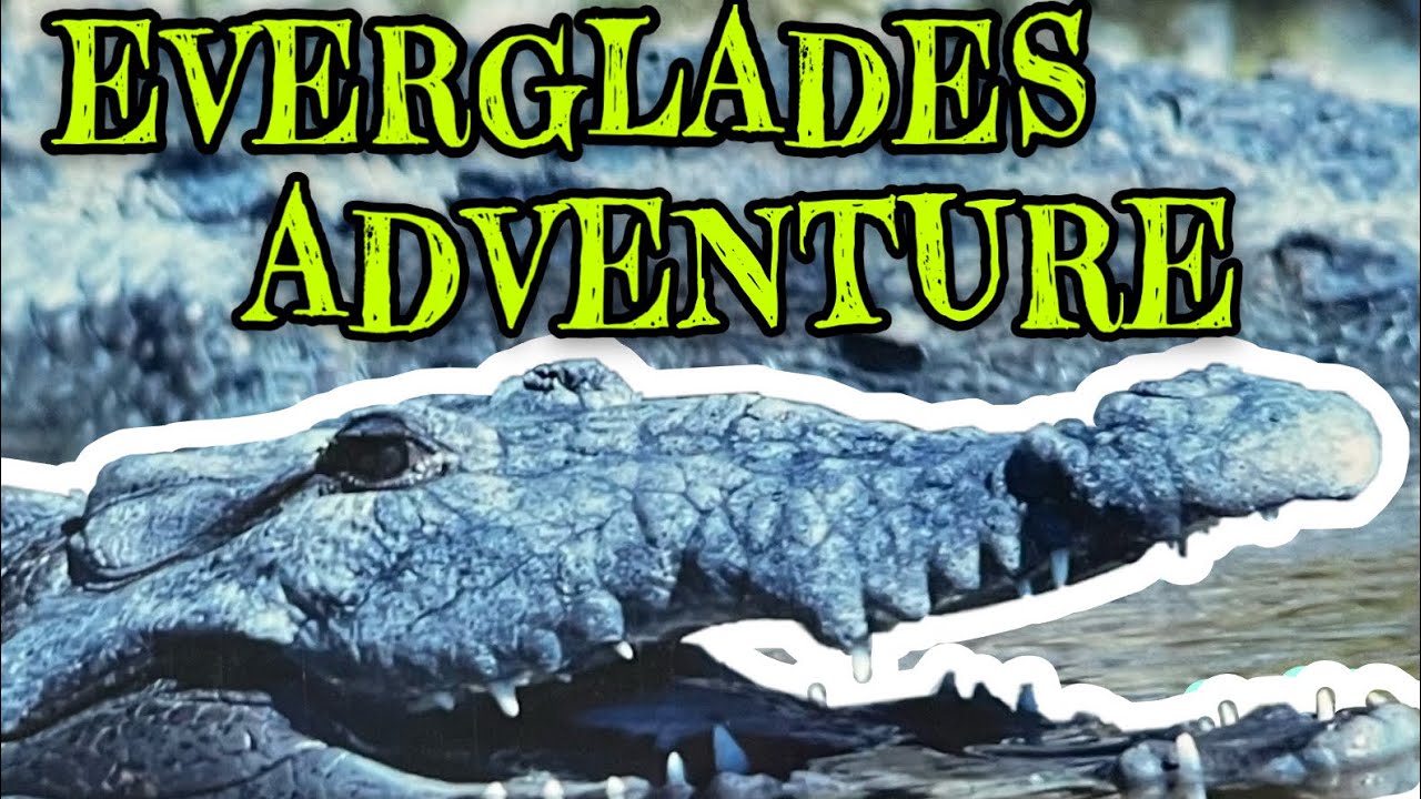 Father/Son EVERGLADES ADVENTURE