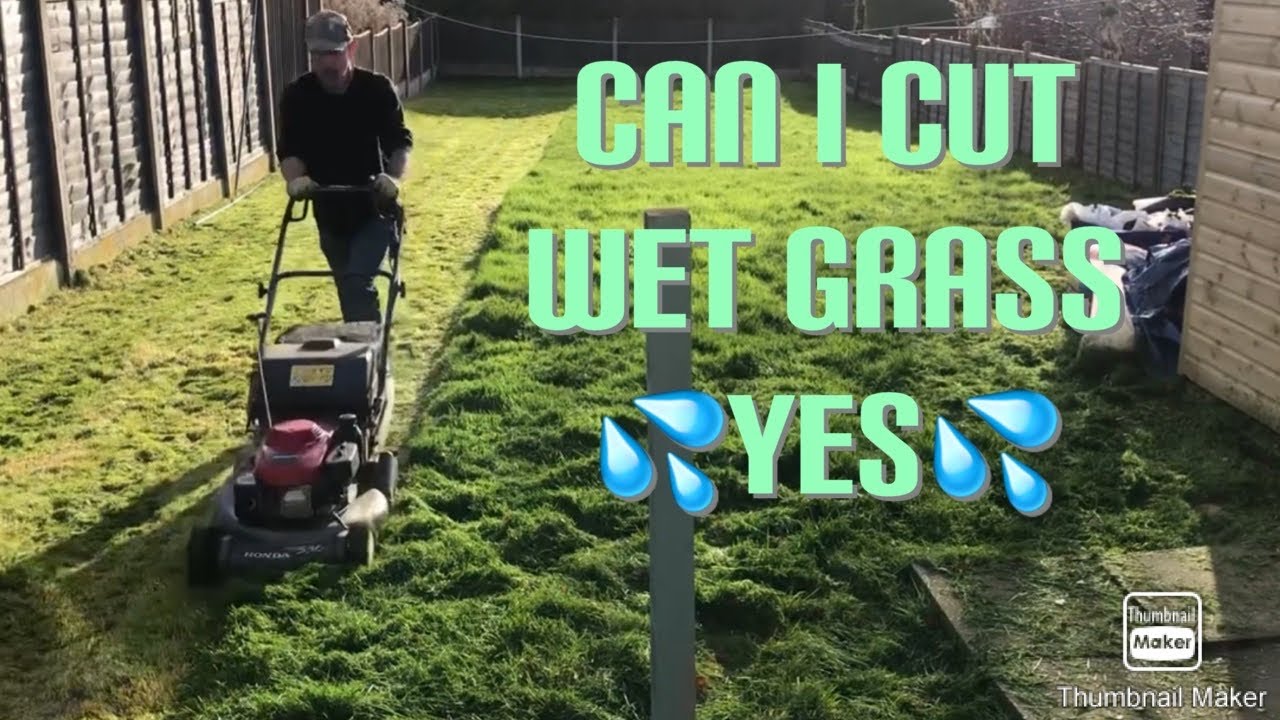 How I cut trim wet grass solved HONDA