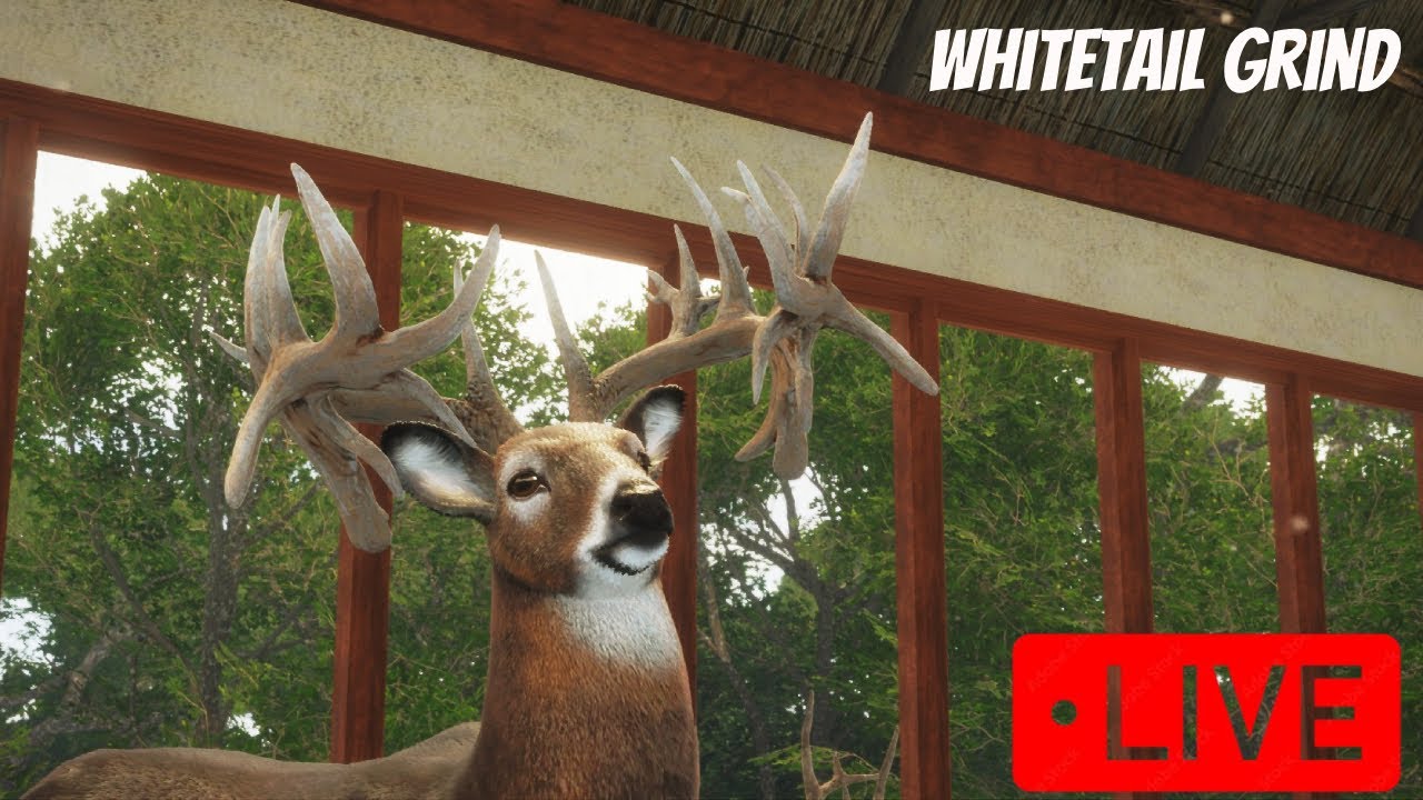 Grinding Whitetail Live in Hunter Call of the WIld