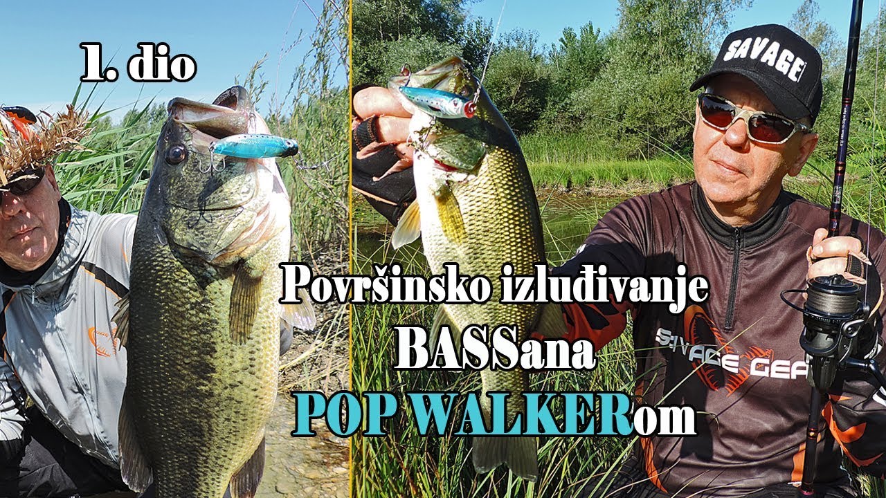 Black Bass / Pastrvski grgeč POVRŠINCIMA, Poperima i Zarama -Tehnika E-1/2 / VSP Igor Pavičić
