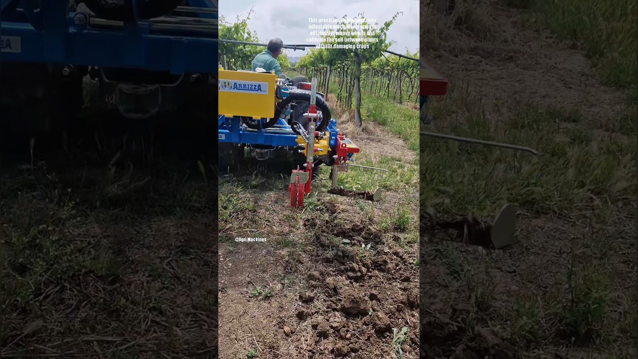 inRow Cultivator ARES ECO for Weeding & Cultivation || Made By Arrizza Srl Italy || 
