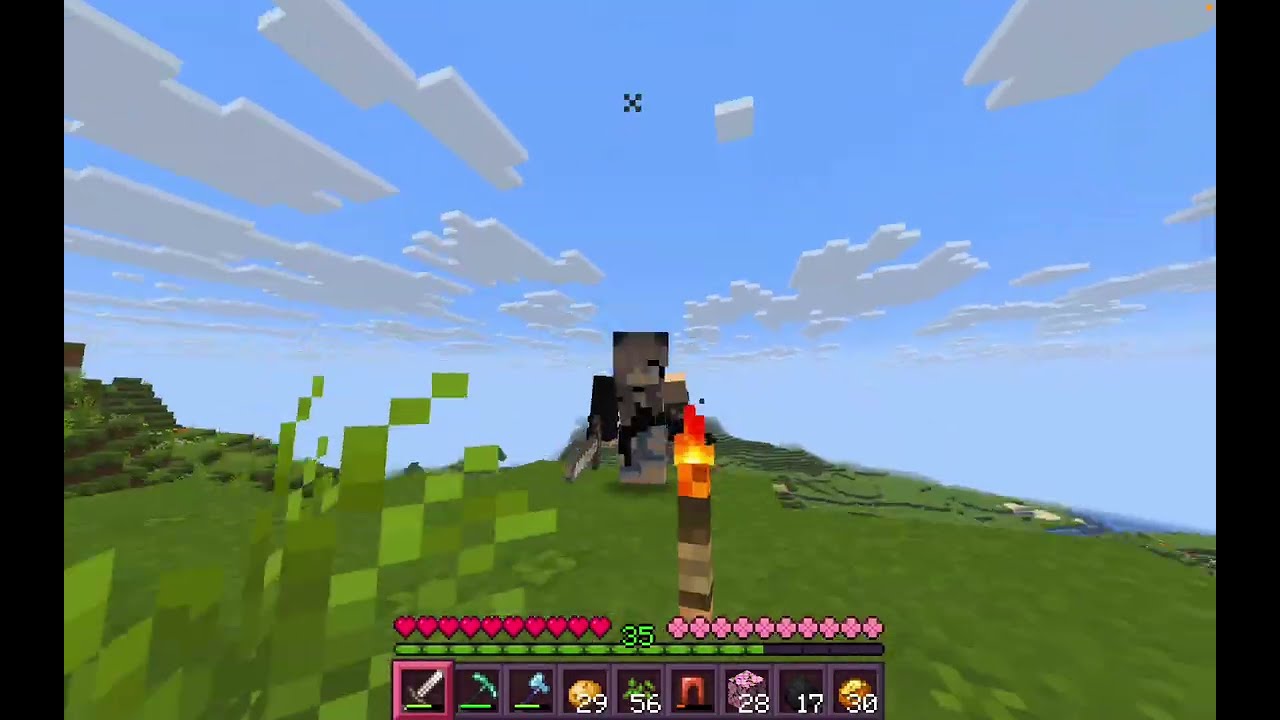 First Video! Minecraft gameplay!!