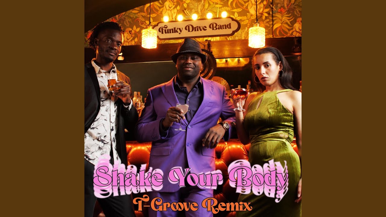 Shake Your Body (T-Groove Remix)
