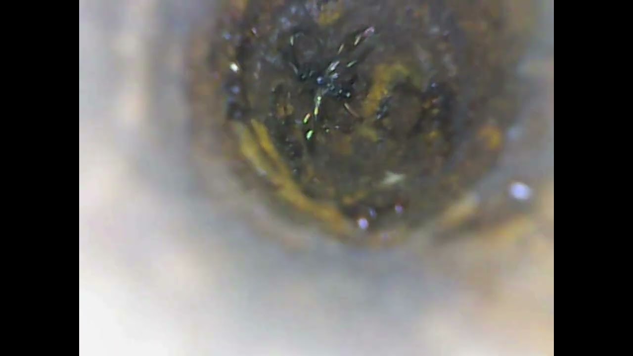 SLAGLÅSGEVÄR, dubbelpipig, märkt 