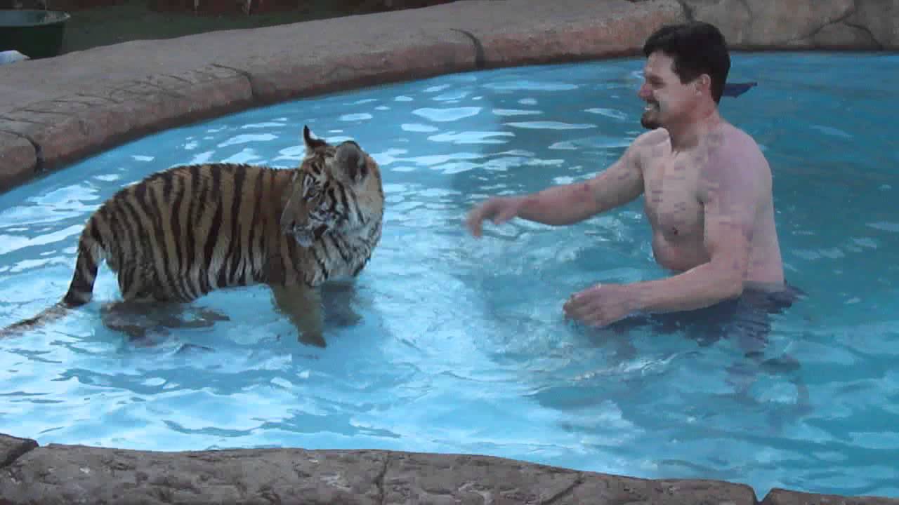 Camera women attacked by tiger right at the end!