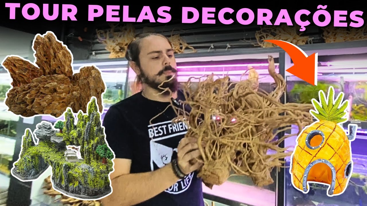 ITENS DE DECORAÇÕES PARA AQUÁRIOS