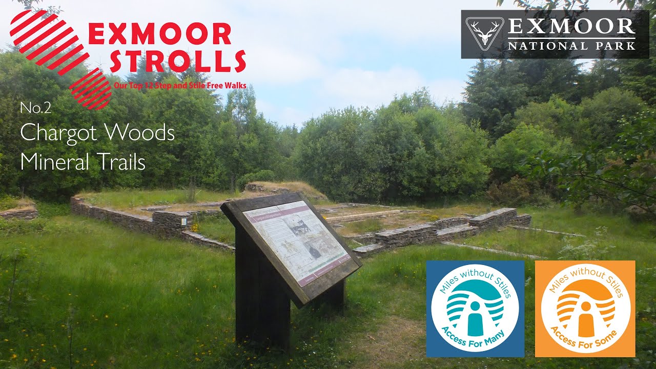 Chargot Wood - Exmoor Strolls 2