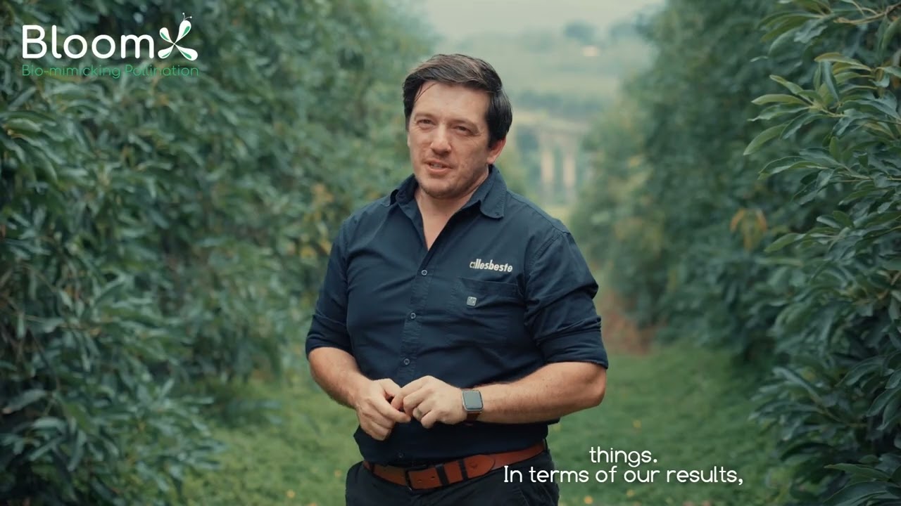 Growing Success: A South African Avocado Grower Shares How BloomX Boosted Yields by Up to 20%