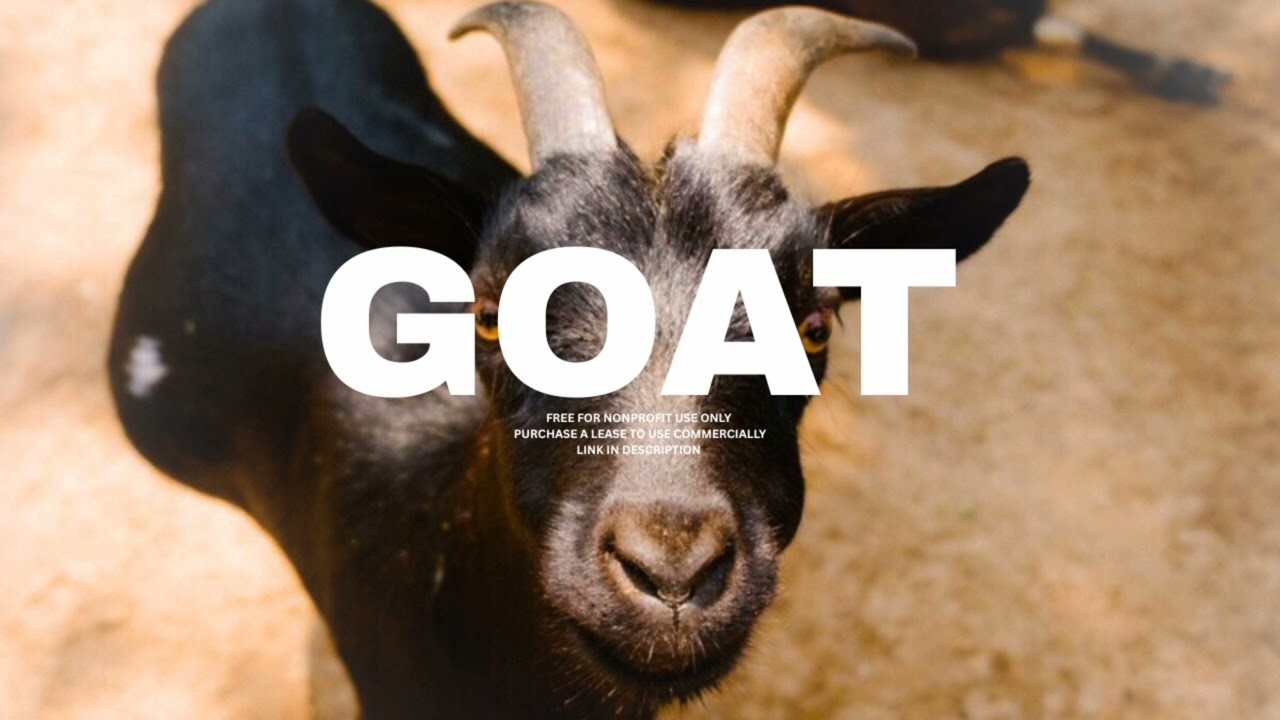 [FREE] Dancehall Riddim Instrumental 2025 ~ Goat 