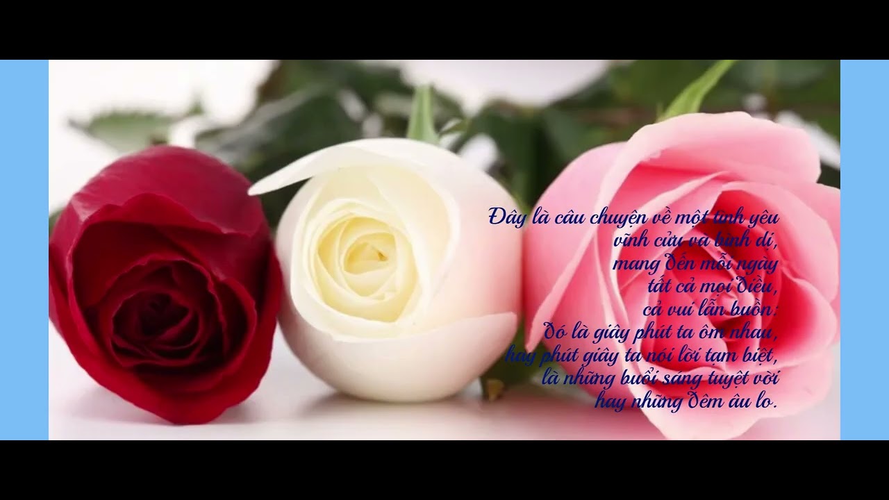 Histoire d'un amour