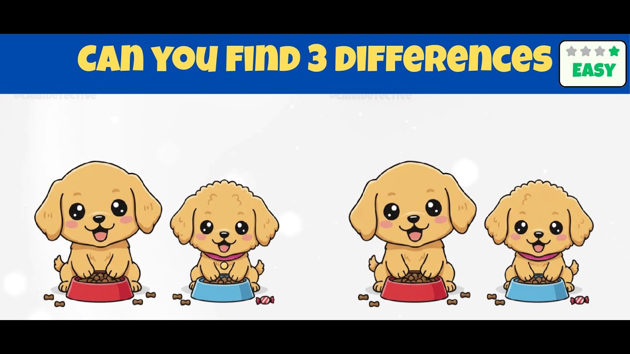 Spot 3 Differences | Brain Exercises  0034