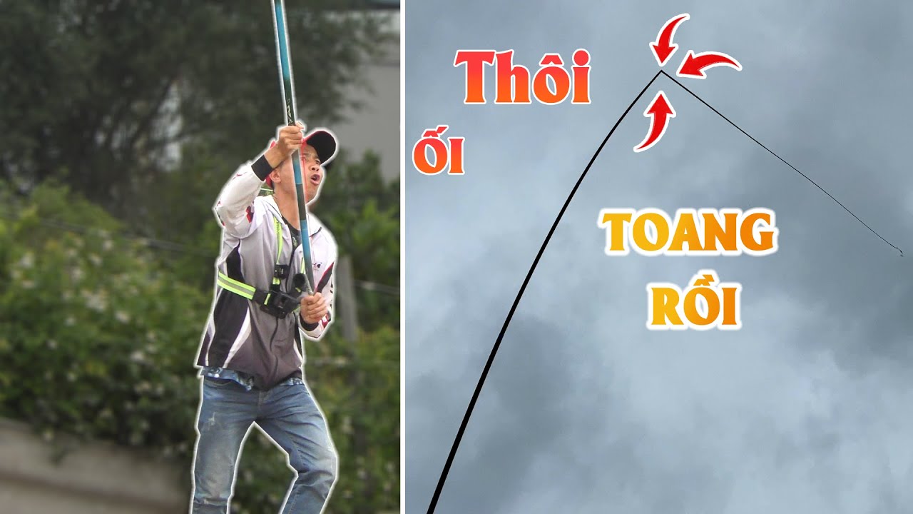 103. CÂU CÁ TRẮM ĐEN: CHỦ HỒ thách thức cá được 