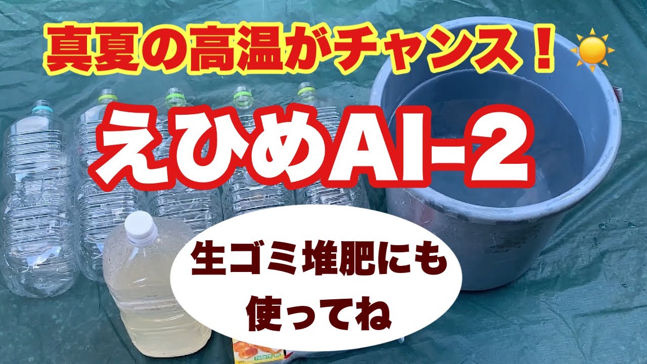 混ぜるだけ真夏なら簡単に作れちゃう！【えひめAI 2】2次培養して大量生産！