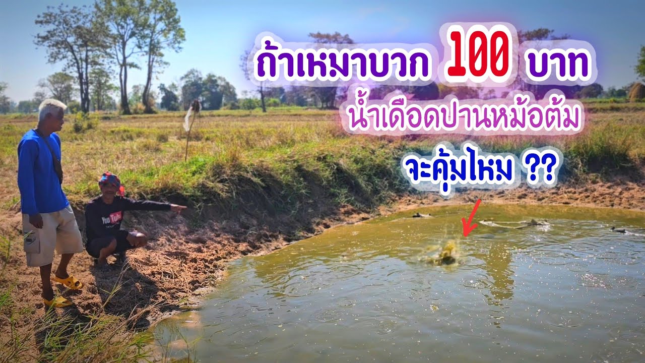 ถ้าเหมาสระบวกราคา 100฿ จับปลาข่อนน้ำเดือดจะคุ้มค่าไหม ขอคำตอบจากผู้ชม ??
