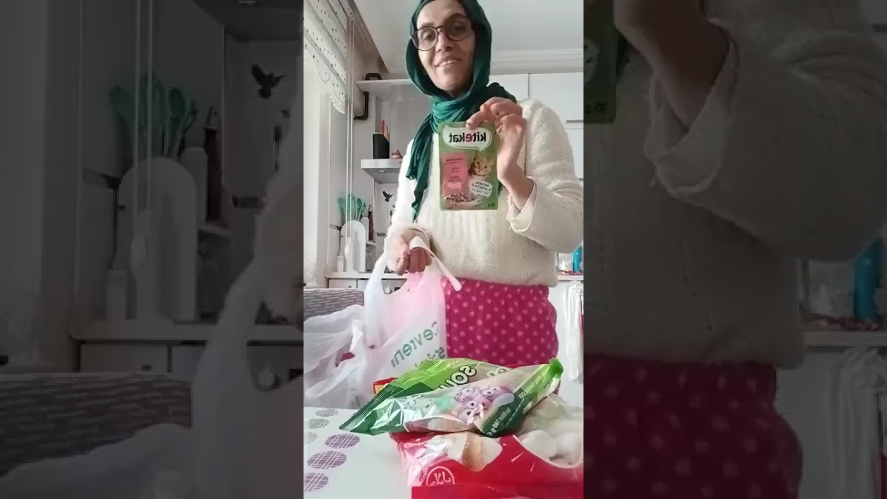 قطي