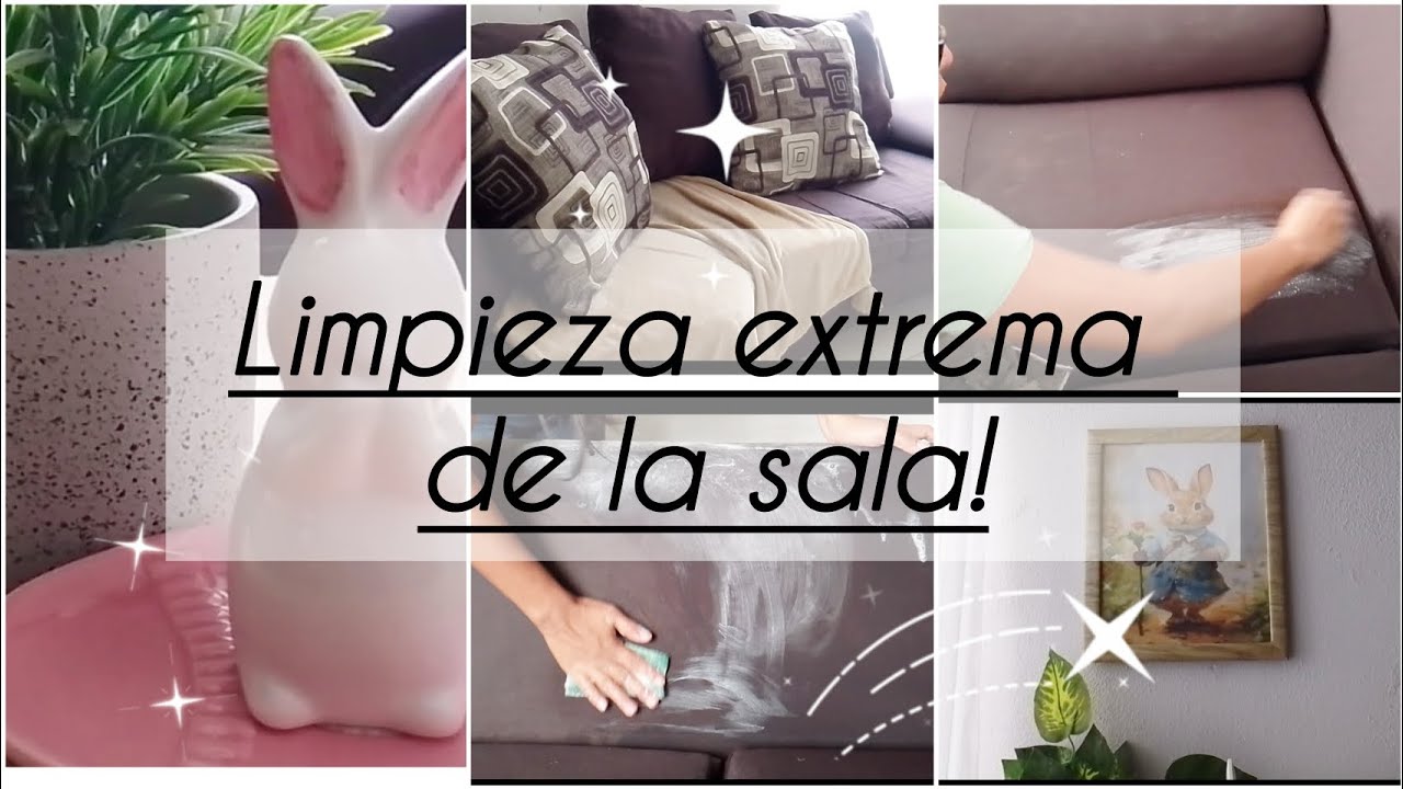 ✅ Limpieza extrema de sala ✨🧼🪣/✅casa pequeña de Infonavit 🏡/decoración sencilla 🐰🌷