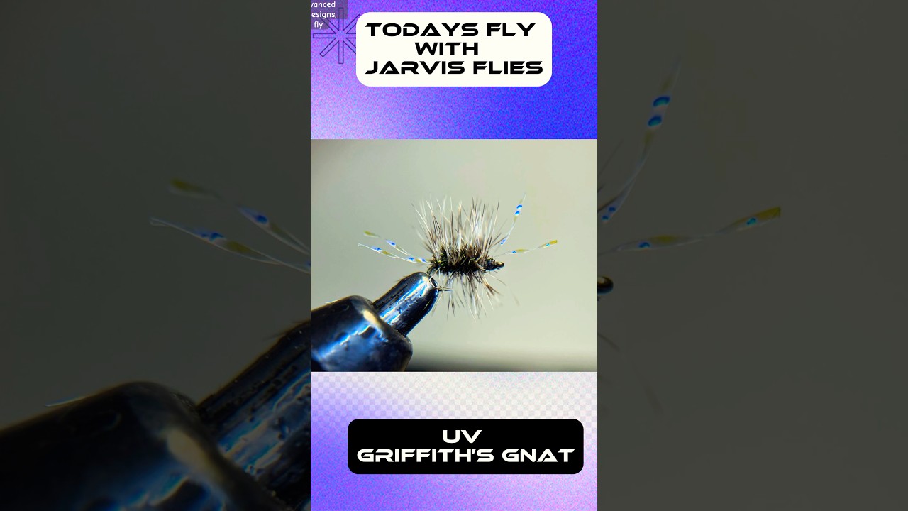 How to tie a uv Griffiths Gnat! #flyfishing #troutfishing #flies #flytying #smallbusiness #trout