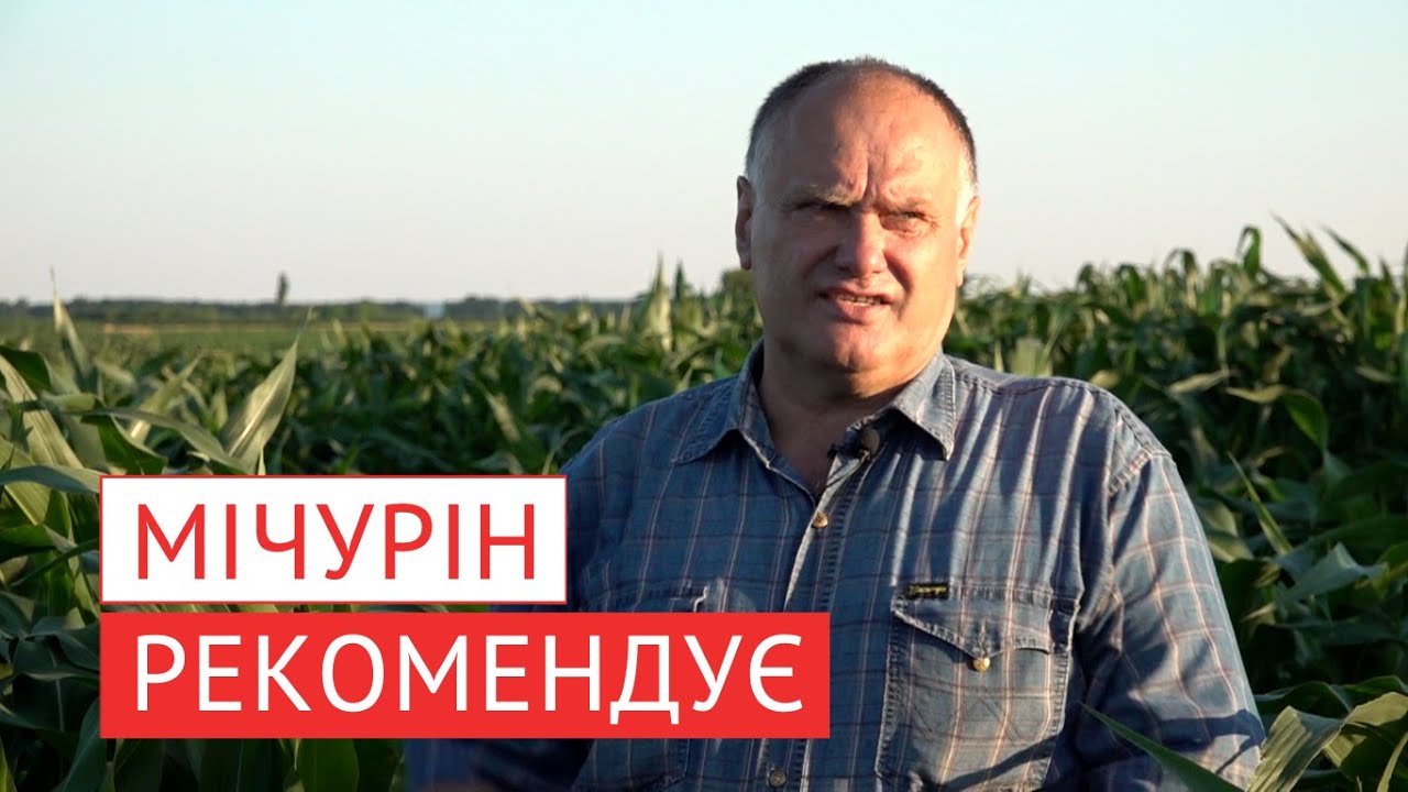 Як отримати кращий урожай, не вносячи тони добрив? Усе просто. Треба багато знати.