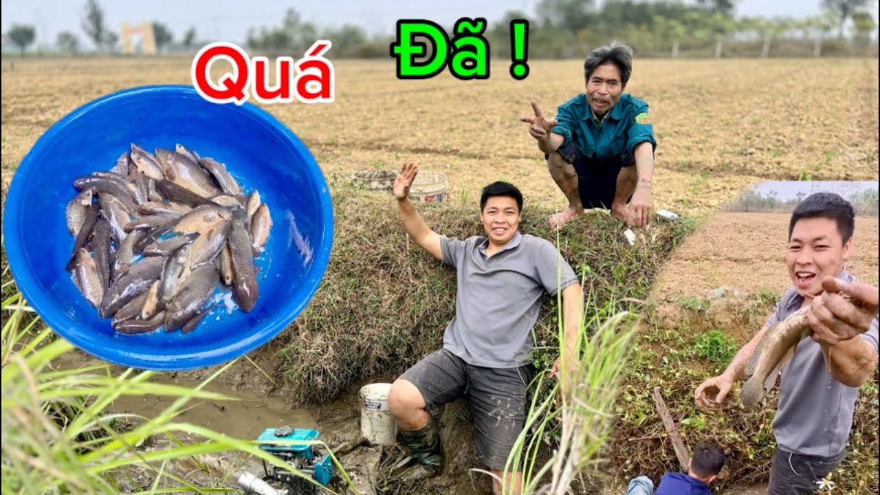 Bác Thông Tát Cạn Cái Mương Gần Nhà Để Lấy Cá Ăn Tết Và Kết Quả Bất Ngờ | HUY ANH TV