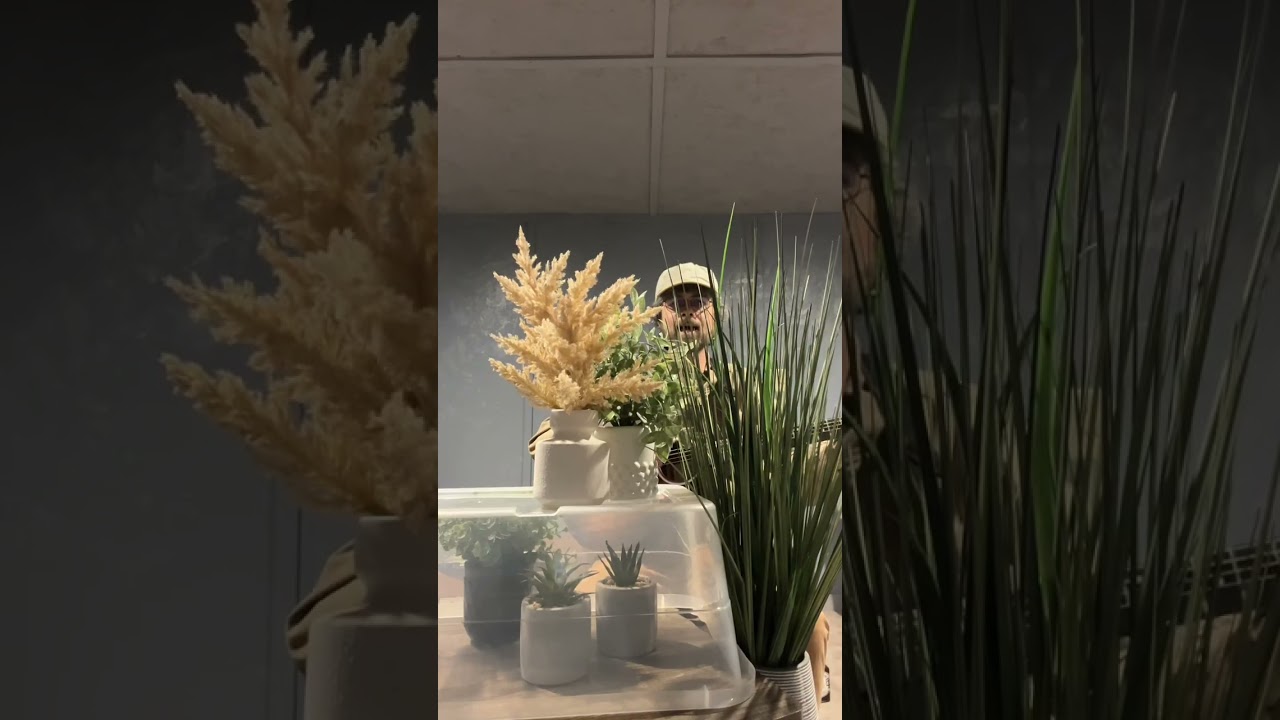 Radiohead - Fake Plastic Trees